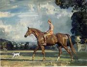 unknow artist Classical hunting fox, Equestrian and Beautiful Horses, 050. oil painting reproduction